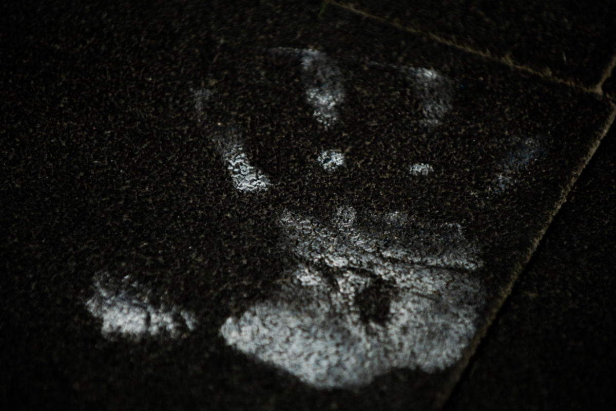 CrossFit fotografía